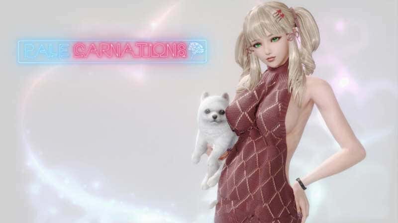 康乃馨俱乐部封面