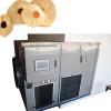 Industrial Medium Temperature Double Door Vegetable Fruit Food Dryer Machine