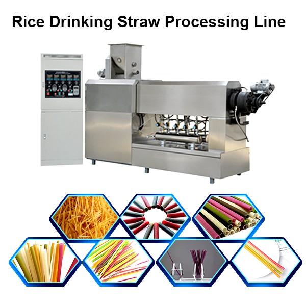 Edible Eco Friendly 100-150kg/H Best Quality Rice Making Drinking Straw Machine Pasta ...